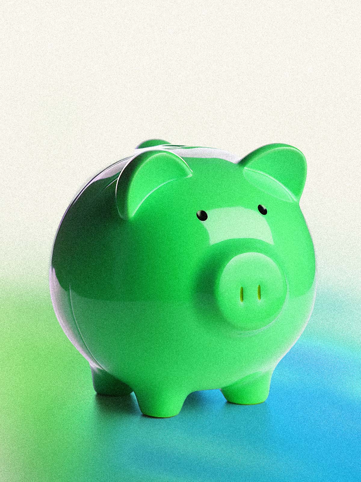 Climate Fund Donation