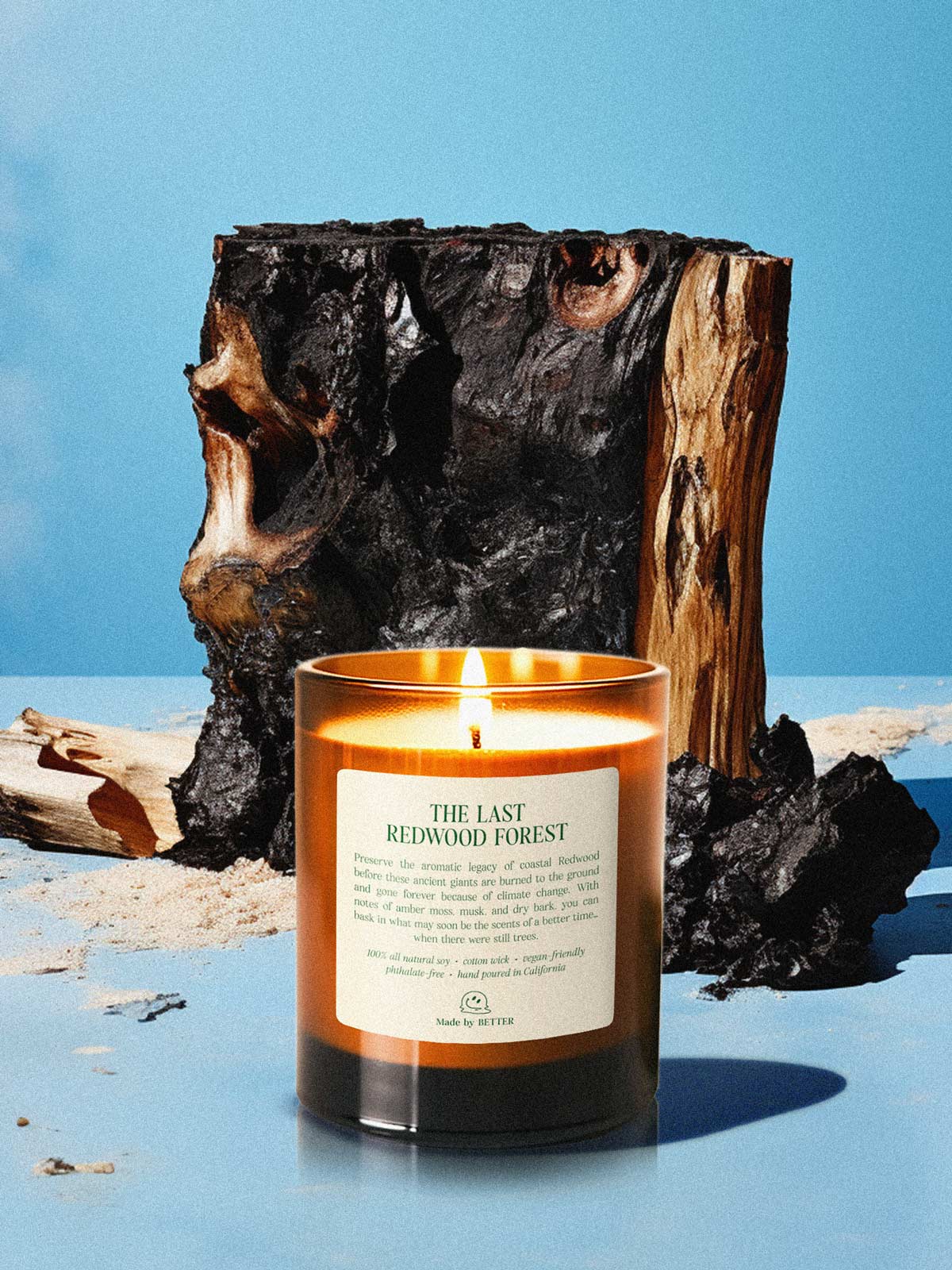 The Last Redwood Forest Candle